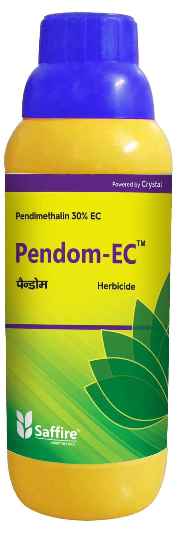 PENDOM EC